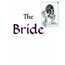 Bride Shirts by Petcetera Bride Shirts