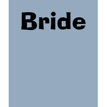 Bride t-shirts by jenny01 Bride t-shirts