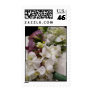 Bride's bouquets postage stamp