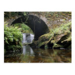 Bridge above Torc waterfall Post Cards