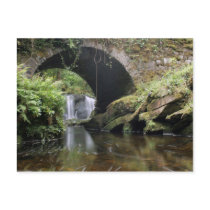Bridge above Torc waterfall postcards by BANNER25 Bridge above Torc waterfall postcards