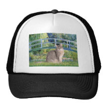 Bridge - Abussinian (blue 21) Mesh Hats