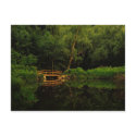bridge and forest pond postcards by pageandturner bridge and forest pond postcards