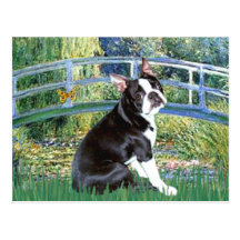 Bridge - Boston Terrier #4 Postcards