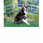 Bridge - Boston Terrier #4 Shirt