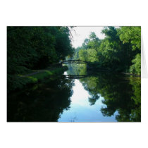 bridge cards