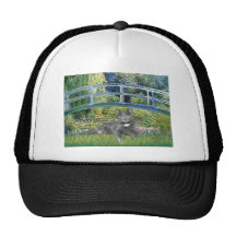 Bridge - Grey cat Trucker Hats