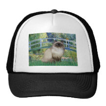 Bridge - Himalayan cat 7 Trucker Hat