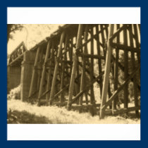 Bridge in Sepia posters