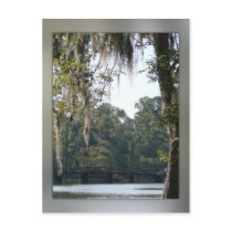 Bridge in the Swamps Postcard