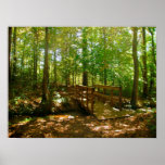 Bridge in the Woods Print