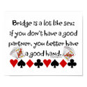Bridge is a lot like sex Poster
