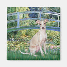 Bridge - Italian Greyhound 5 Refrigerator Magnet
