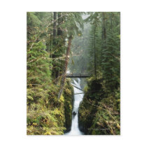 Bridge leading across stream in the Sol Duc Post Card