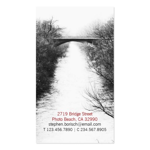 Bridge Minimalistic BW Photo Business Card (back side)
