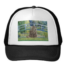 Bridge - Norwegian Forest cat Hat