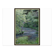 Bridge of life post cards