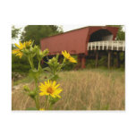 Bridge of Madison County Post Card