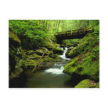Bridge over Roaring Fork Post Card