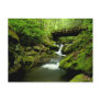 Bridge over Roaring Fork Post Card