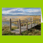 Bridge Over the Stream cards
