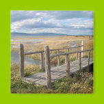 Bridge Over the Stream magnets