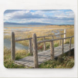 Bridge Over the Stream mousepads