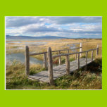 Bridge Over the Stream postcards
