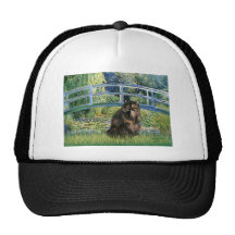 Bridge - Persian Calico cat Hat