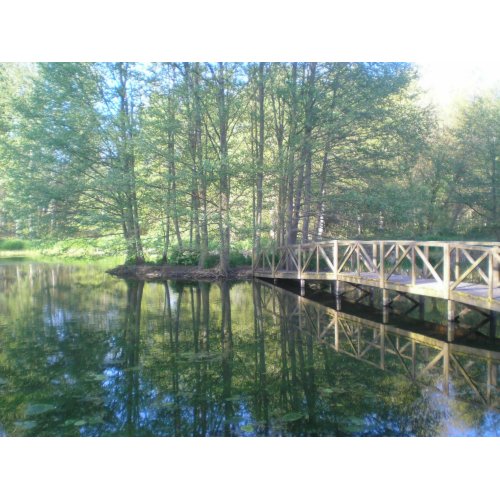 Bridge print