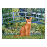Bridge - Red Abyssinian Cards