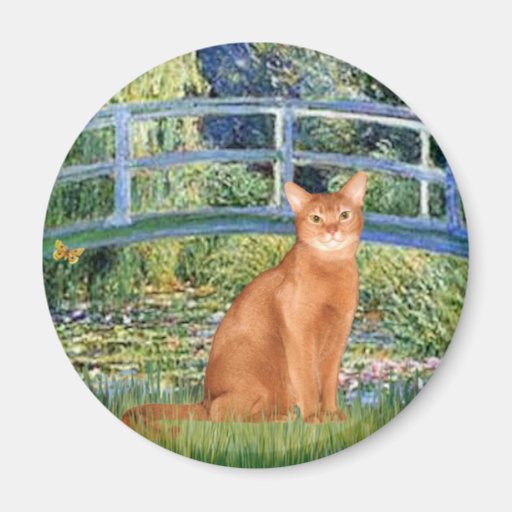 Bridge - Red Abyssinian Refrigerator Magnets