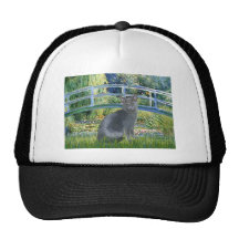 Bridge - Russian Blue cat 2 Hat