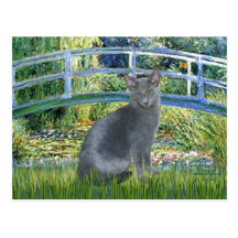 Bridge - Russian Blue cat 2 Post Card