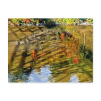 Bridge Shadow Postcards