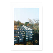 bridge shadows posters