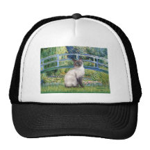 Bridge - Siamese 24 (blue point) Hats