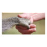 Bridge The Gap Picture Card