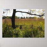 Bridge to a Prairie posters