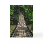 Bridge to Jurassic Park Greeting Card