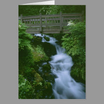 Bridge To Tranquillity cards