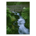 Bridge To Tranquillity cards