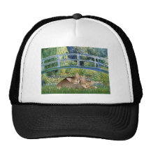 Bridge - Two Tabby Kittens Hat