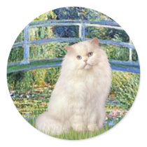 Bridge - White Persian cat Sticker