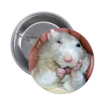 Bridget 1 pinback button