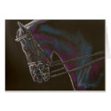 Bridle on Black cards