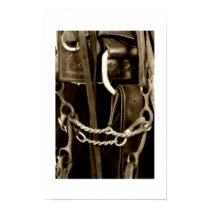 Bridle Poster 11x17 posters
