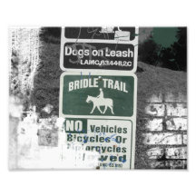Bridle Trail Sign Art Photo