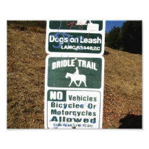 Bridle Trail Sign Photograph