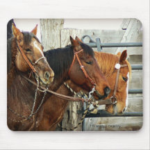 Bridled Horse Heads Mouse Pads